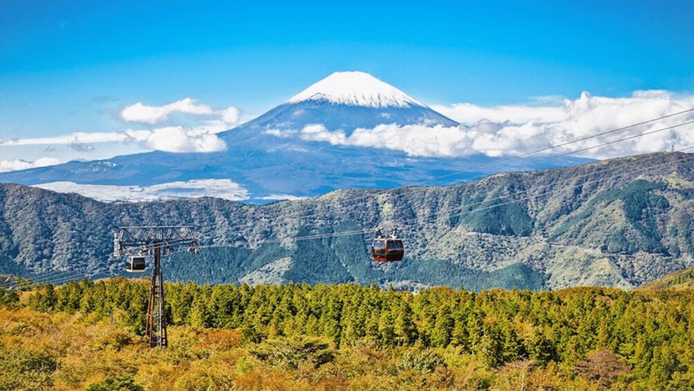 A cable car system, a snow-capped mountain, and a forested valley. 2