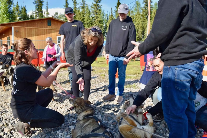 People interacting with dogs in an outdoor setting with a wooden building in the background. 1