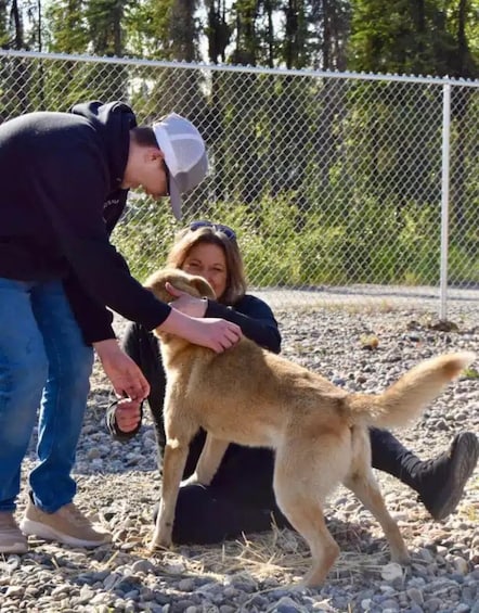A person petting a dog in a fenced outdoor area with trees in the background. 3