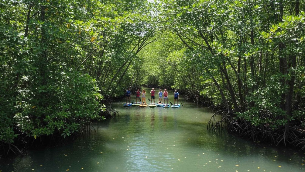 Siargao: Mangrove Paddleboarding w/ Mud Spa Experience 1