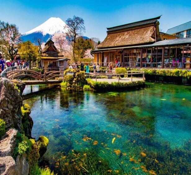 Picture 8 for Activity From Tokyo: Mount Fuji Full-Day Tour with English Guide 3