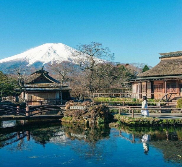 Picture 10 for Activity From Tokyo: Mount Fuji Full-Day Tour with English Guide 4
