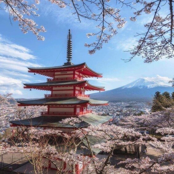 A multi-tiered pagoda with cherry blossoms in the foreground and a snow-capped mountain in the background. 1