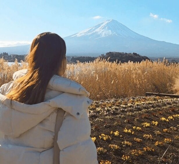 Picture 11 for Activity From Tokyo: Mount Fuji Full-Day Tour with English Guide 2