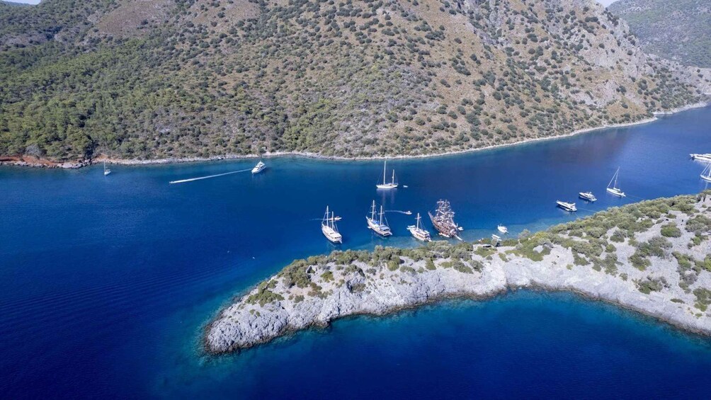 A coastal area with a marina, boats, and a rocky island. 1