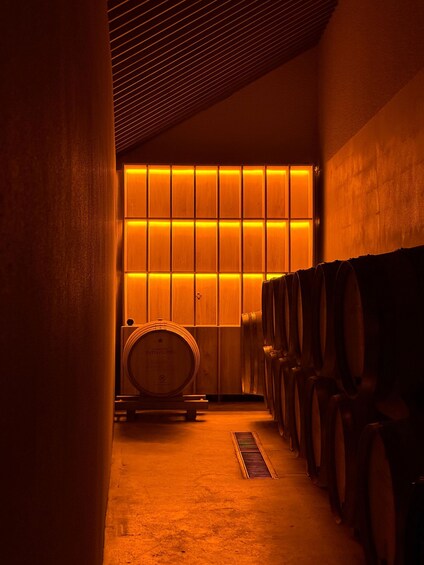 Picture 1 for Activity Le Lavoir: Cellar tour & tasting in the vineyards with a winemaker 2