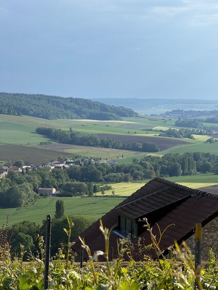Le Lavoir: Cellar tour & tasting in the vineyards with a winemaker 1