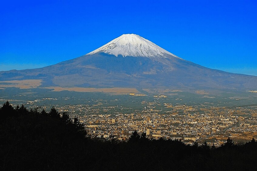 A snow-capped mountain with a cityscape in the foreground. 3