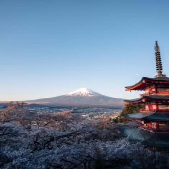 A pagoda with a snow-capped mountain in the background. 1