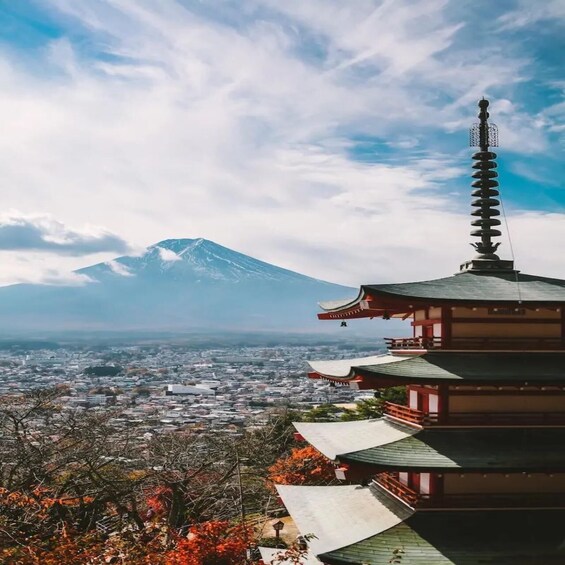 A pagoda with a mountain in the background. 5