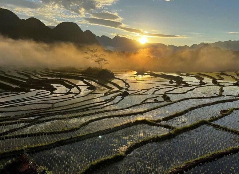 Terraced rice fields with a mountain backdrop and the sun setting. 3