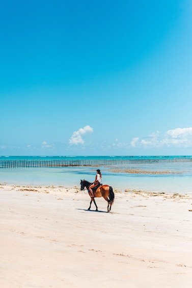 A person riding a horse on a beach with a clear sky and a pier in the background. 2