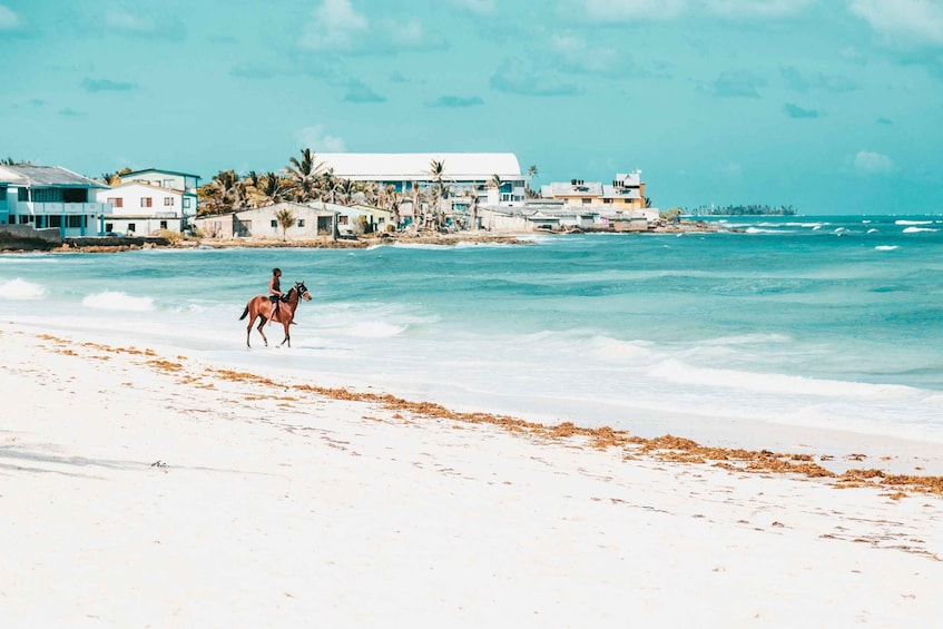 A beach with a horse and rider, ocean waves, and coastal buildings. 3