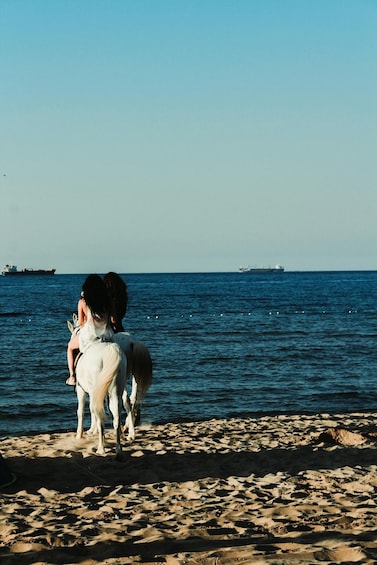 A beach with horses and a ship in the distance. 3