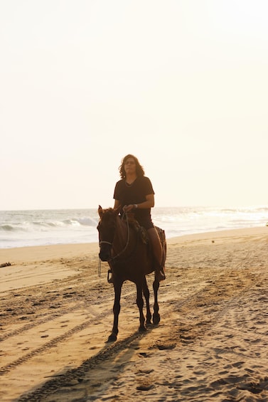 A person riding a horse on a beach with the ocean in the background. 1
