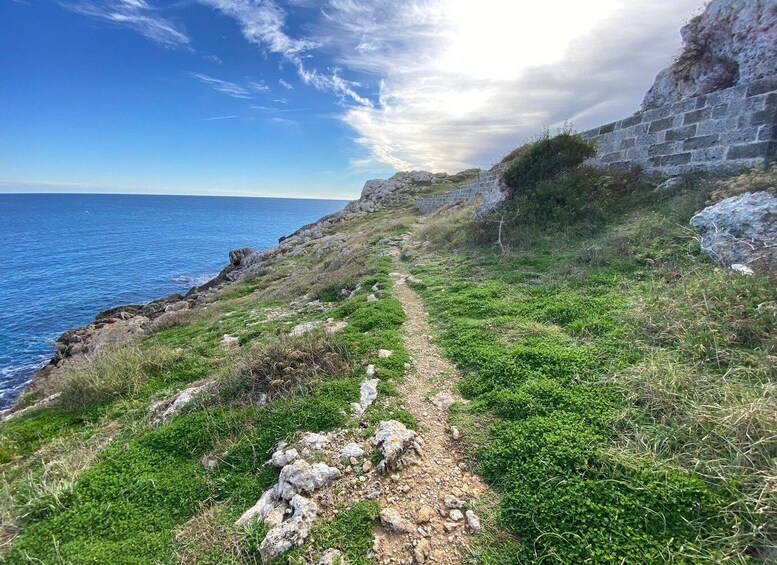 A coastal path with rocky terrain and vegetation. 5