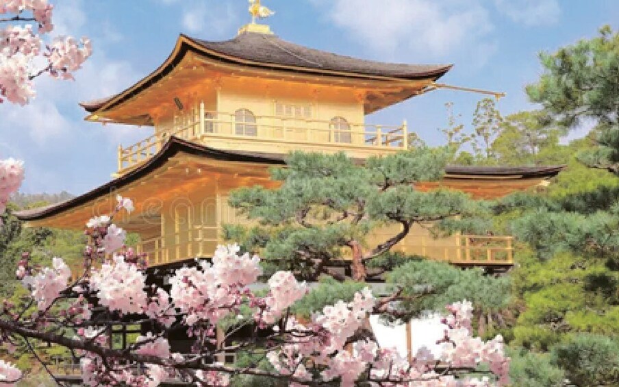 A traditional Japanese pagoda with cherry blossoms in the foreground. 2