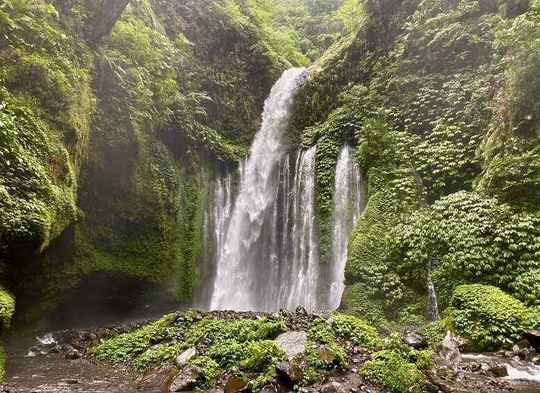 A waterfall surrounded by lush greenery. 1