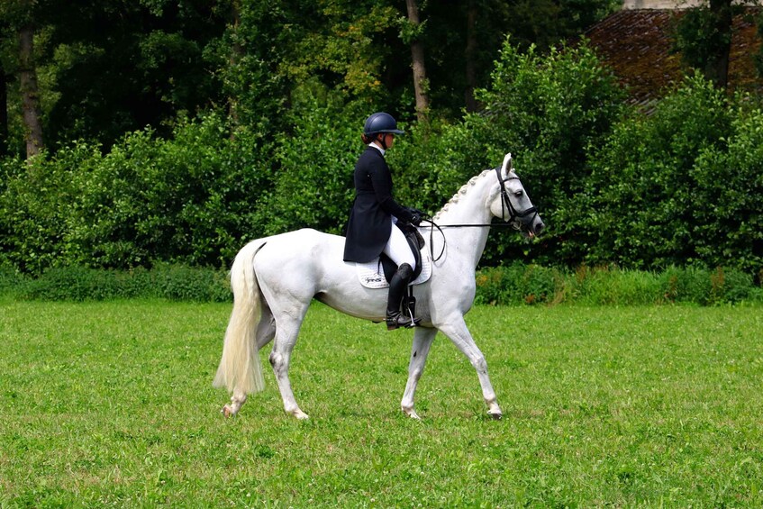 A person riding a white horse in a grassy field with trees in the background. 1