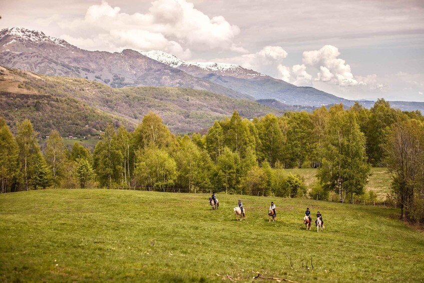 A group of people horseback riding in a grassy field with mountains in the background. 3
