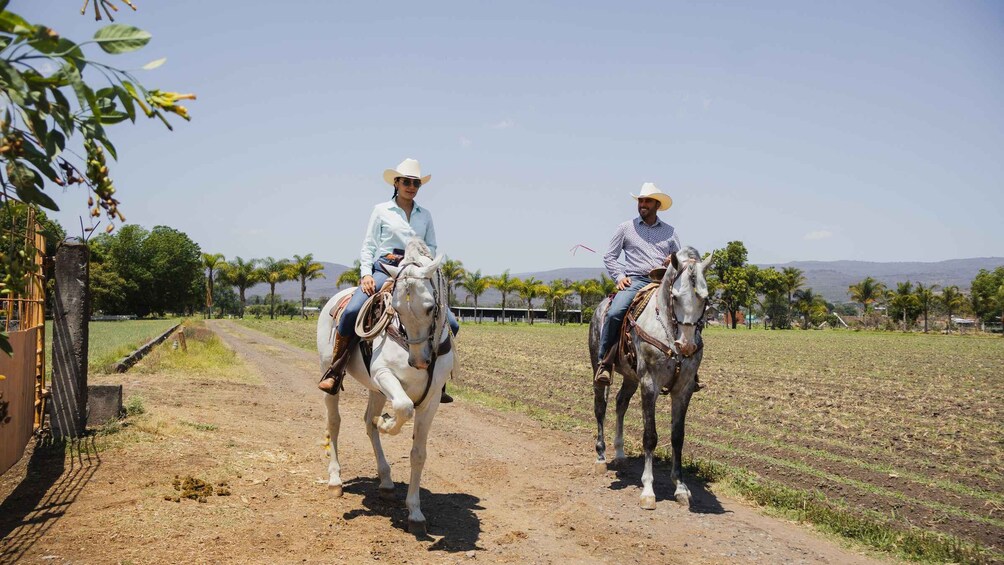Picture 5 for Activity Blanes: Marimurtra Garden & Private Horseback Ride 3