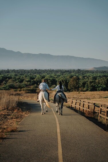 Picture 4 for Activity Blanes: Marimurtra Garden & Private Horseback Ride 2