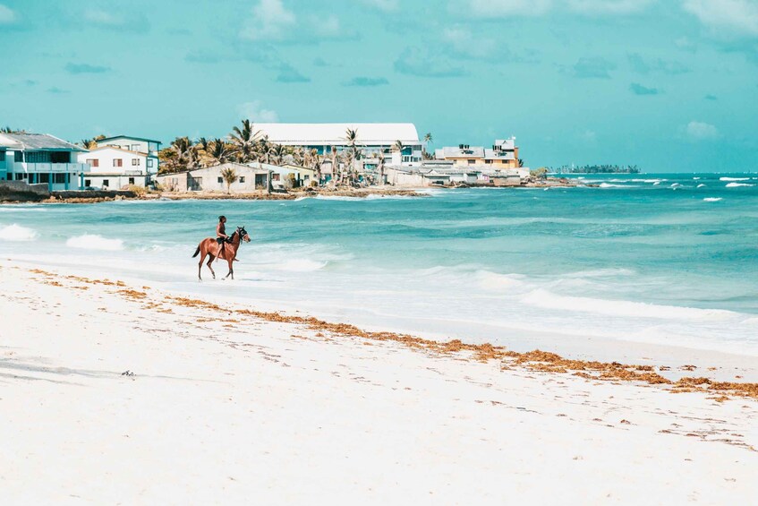 A beach with a horse and rider, ocean waves, and coastal buildings. 2