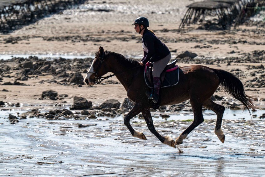 A person riding a horse on a beach with rocks and a hut in the background. 1