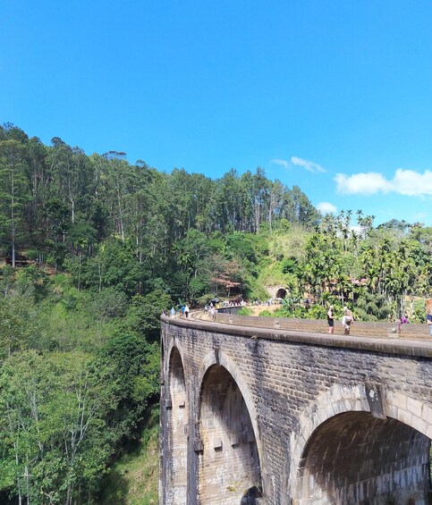 A stone bridge with arches over a lush green landscape. 1