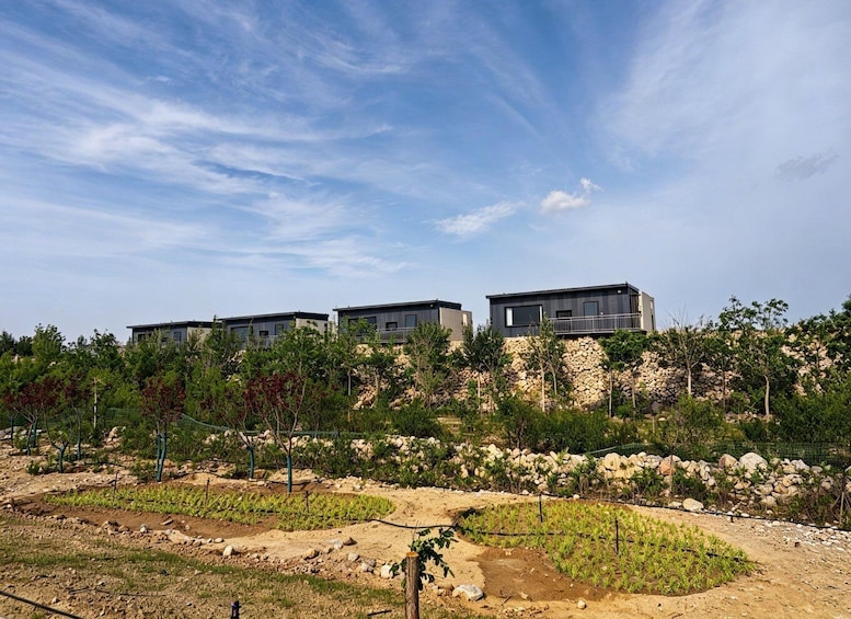 A residential area with modern houses, a rocky hillside, and a garden with young plants. 1