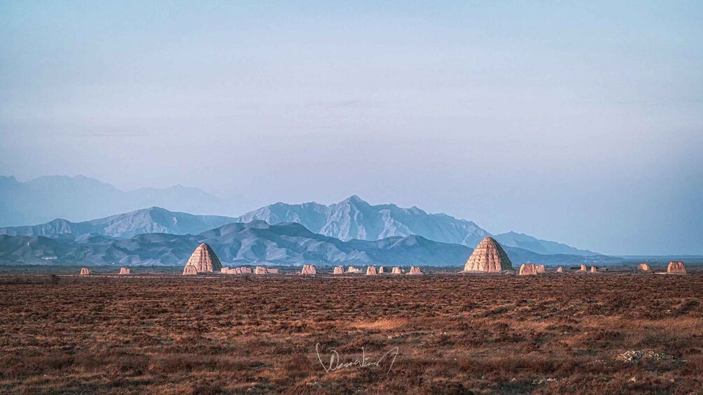 Picture 15 for Activity Ningxia: 3-Day Wine Country & Desert Adventure with Meals 1