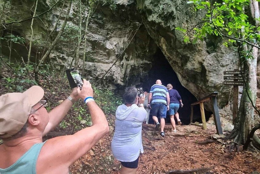 A group of people walking towards a cave entrance surrounded by trees. 3
