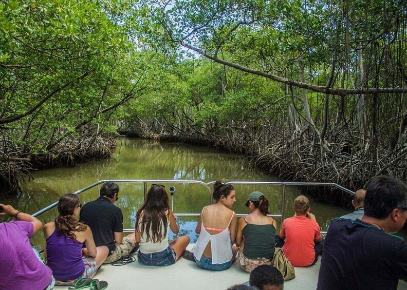 A group of people on a boat in a mangrove forest. 4