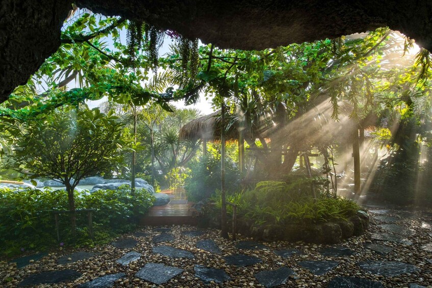 A serene garden with a stone pathway, lush greenery, and a thatched structure. 3