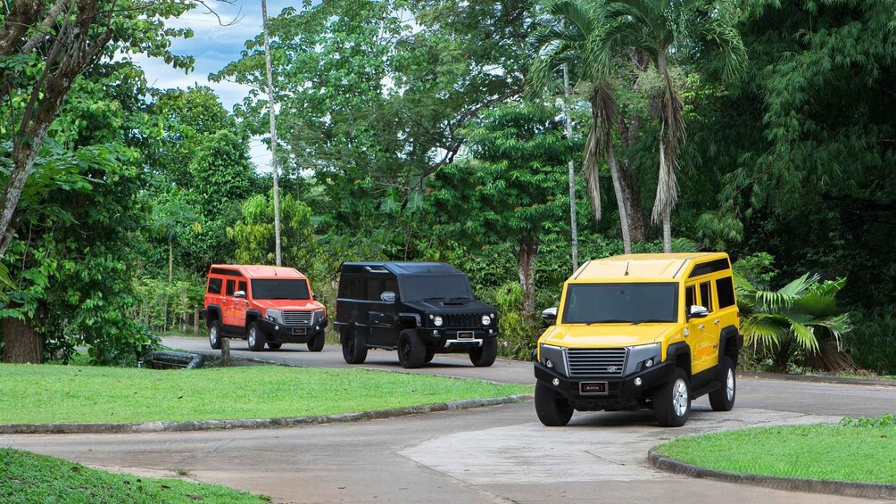 Three off-road vehicles on a paved path surrounded by lush greenery. 1