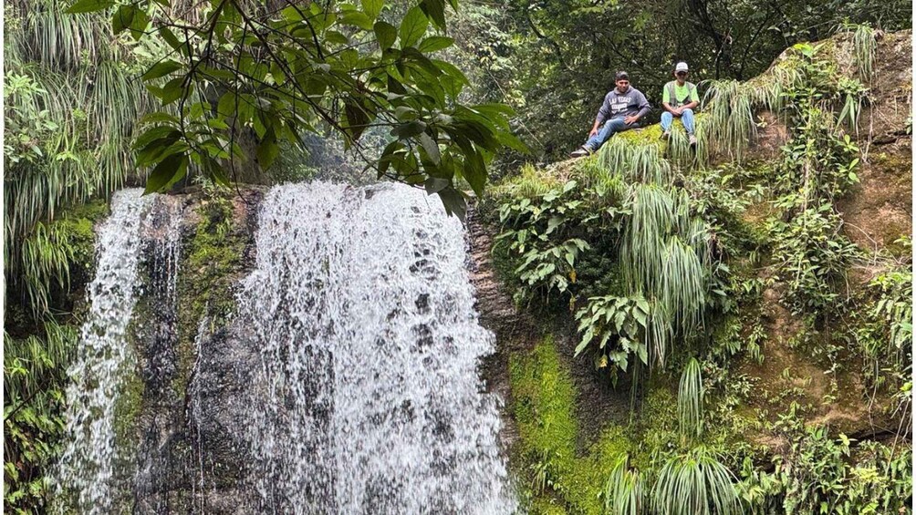 Picture 2 for Activity Excursion to Mataracú - Amboró Park 5
