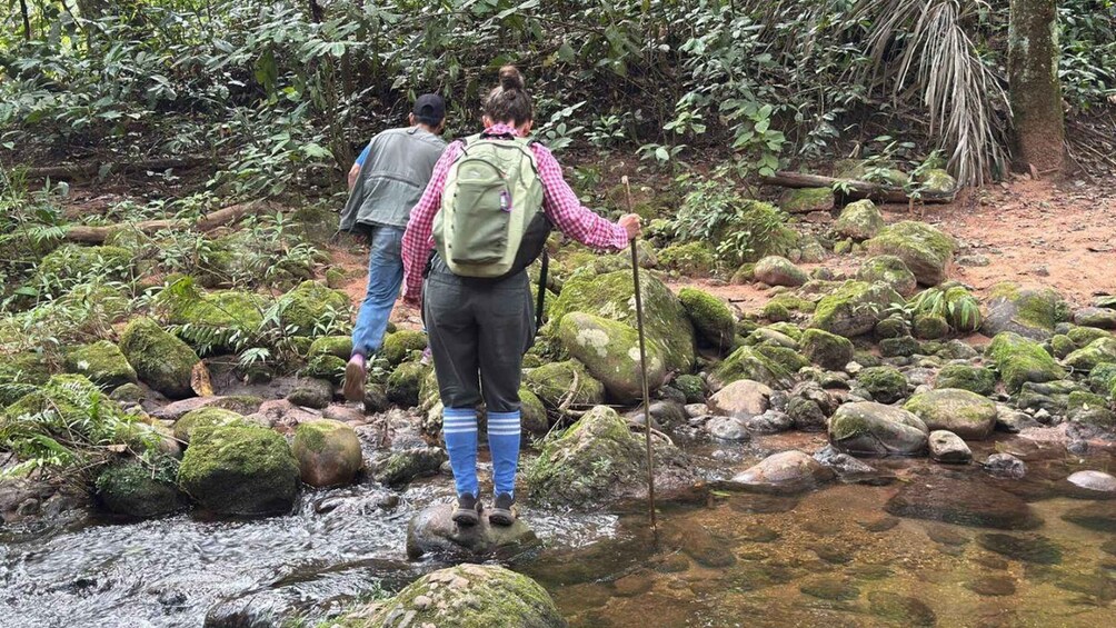 Picture 3 for Activity Excursion to Mataracú - Amboró Park 2