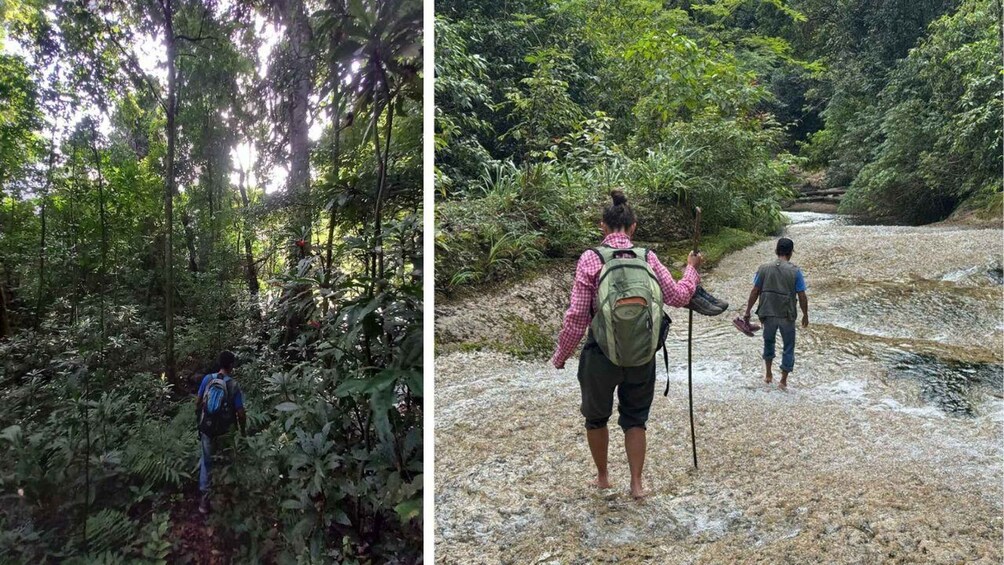 Picture 4 for Activity Excursion to Mataracú - Amboró Park 4