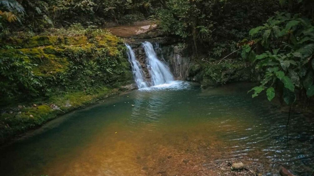 Excursion to Mataracú - Amboró Park 1