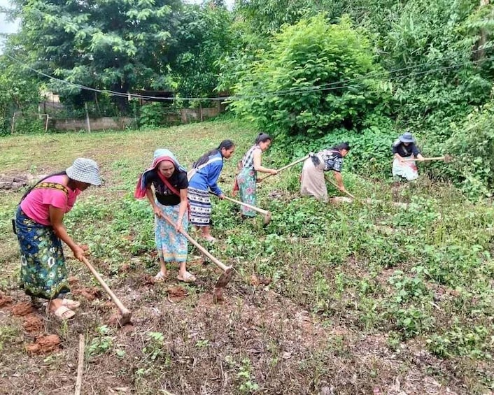 Picture 4 for Activity Guided trekking tour with an experienced local tribe in Pai 5