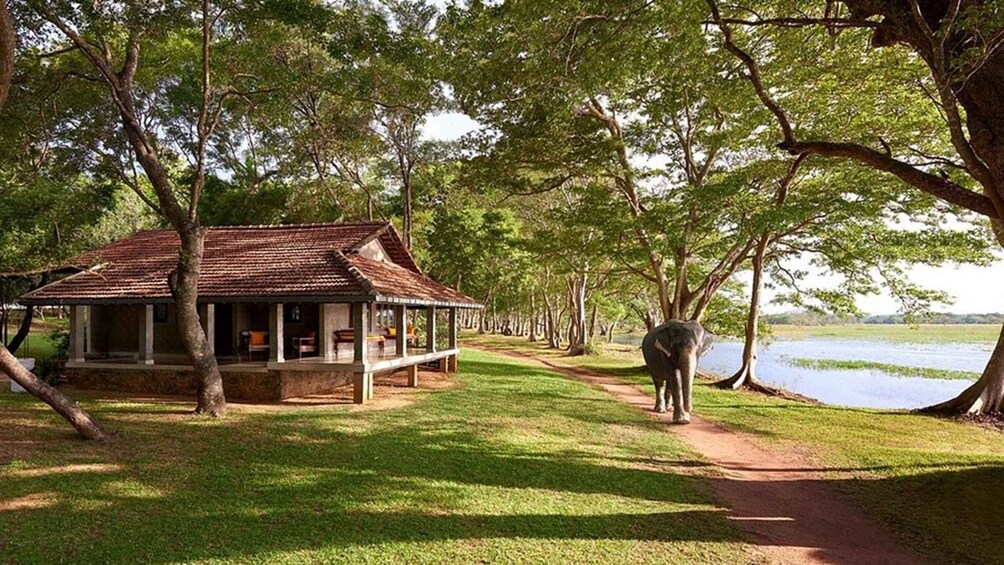 A rustic building with a tiled roof, surrounded by lush greenery and a path leading to a body of water. 3