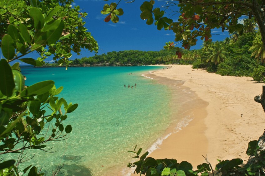 A beach with clear turquoise water, sandy shore, and lush greenery. 1