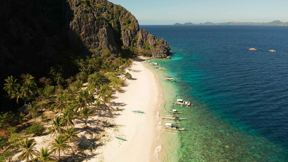 A beach with clear turquoise waters, a sandy shore lined with palm trees, and boats anchored near the water. 2