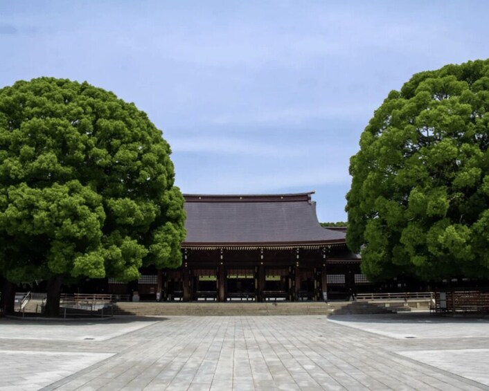 A traditional Japanese building with a tiled roof, surrounded by large trees. 2