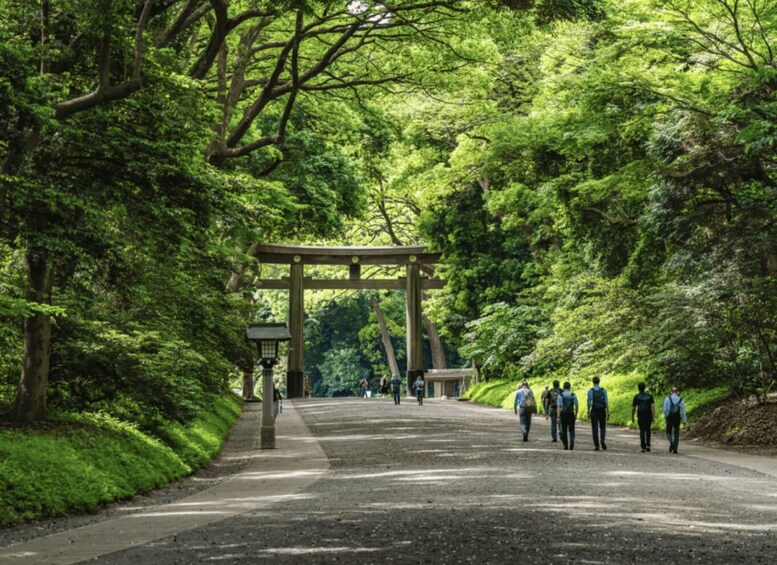 A pathway leading to a traditional Japanese torii gate surrounded by lush greenery. 4