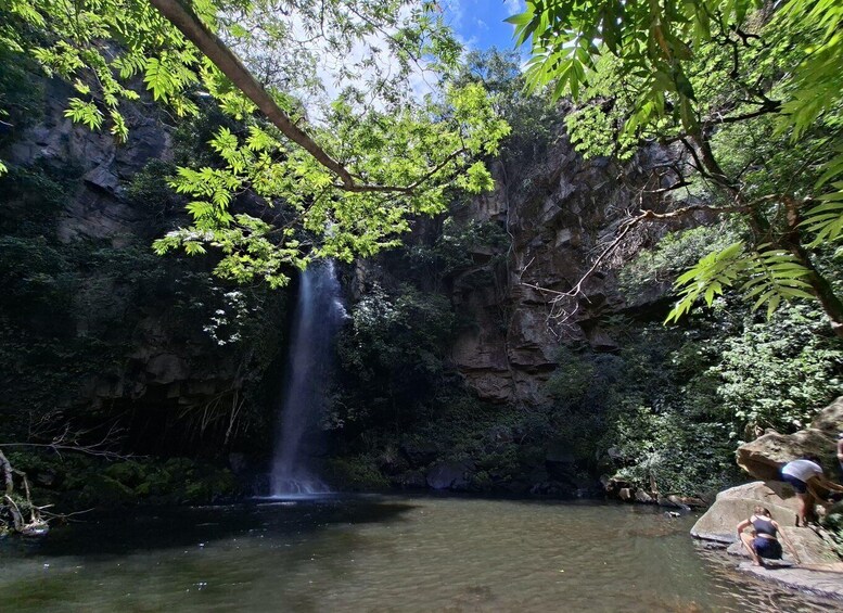 A waterfall in a forested area with clear water and rocky cliffs. 1