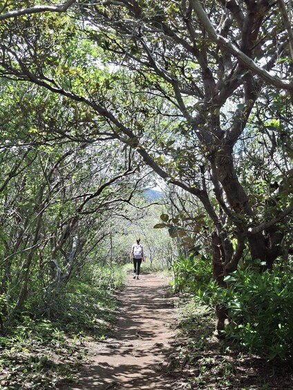 A person walking on a dirt path surrounded by dense green foliage and trees. 2
