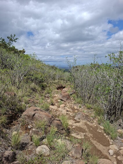A rocky trail surrounded by dense shrubbery and trees, leading towards a distant landscape under a cloudy sky. 4