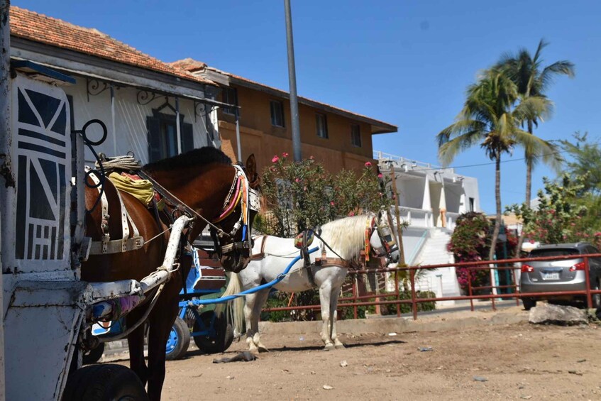 Dakar: 2-Day Gorée Island, Dakar, and Pink Lake Tour 1
