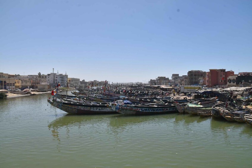 Picture 1 for Activity Dakar: 2-Day Gorée Island, Dakar, and Pink Lake Tour 2